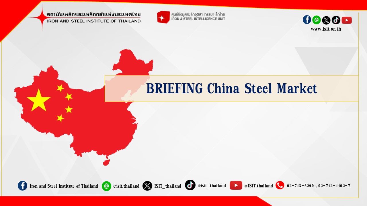 BRIEFING China Steel Market